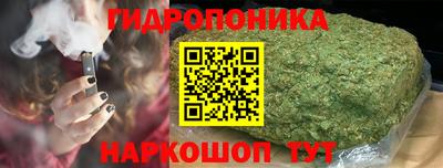 твердый Краснознаменск
