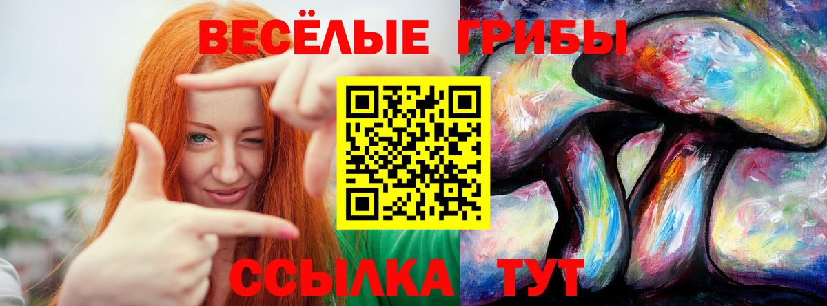 Псилоцибиновые грибы MAGIC MUSHROOMS  Вход с VPN  Егорьевск  Псилоцибиновые грибы Psilocybe 